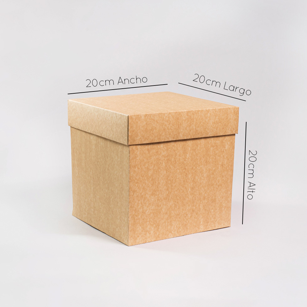 Caja cubo 20x20